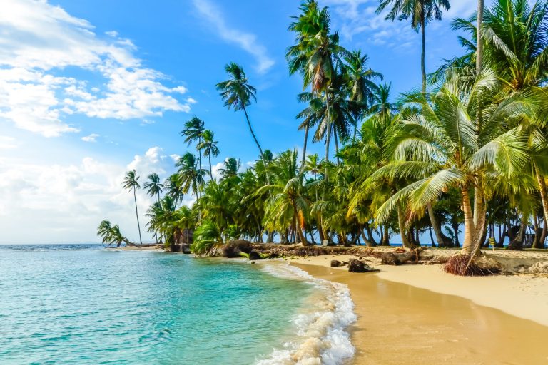 Caribbean Experience