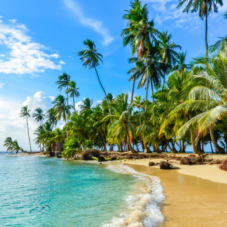 Caribbean Experience